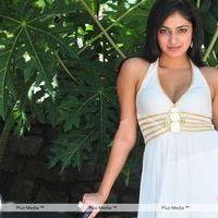 Haripriya New Photo Shoot - Pictures | Picture 115641